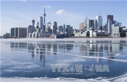 Canada: Mưa băng gây tê liệt hoạt động giao thông ở miền Nam Quebec 